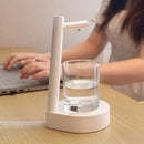 Desktop Electric Water Pump
