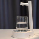 Desktop Electric Water Pump