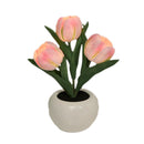 Whimsical Tulip Glow 