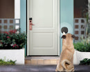Wireless Pet Doorbell