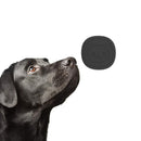 Wireless Pet Doorbell