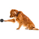 Wireless Pet Doorbell