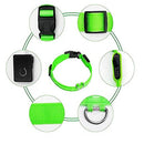 Glowing Dog Leash 