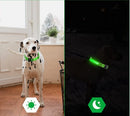 Glowing Dog Leash 
