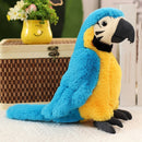 Lifelike parrot plush toy 