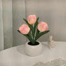 Whimsical Tulip Glow 