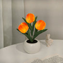 Whimsical Tulip Glow 