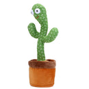 Dancing Cactus Toy 