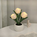 Whimsical Tulip Glow 