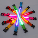 Glowing Dog Leash 