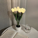 Whimsical Tulip Glow 