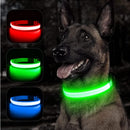 Glowing Dog Leash 