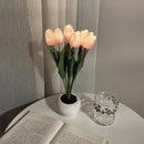 Whimsical Tulip Glow 