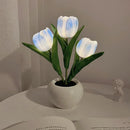 Whimsical Tulip Glow 