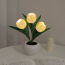 Whimsical Tulip Glow 