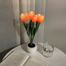Whimsical Tulip Glow 