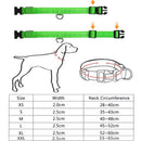Glowing Dog Leash 
