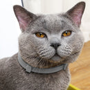Flea Shield Collar