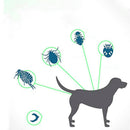 Flea Shield Collar