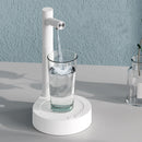 Desktop Electric Water Pump
