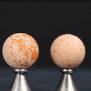 Volcanic oil absorbing roller