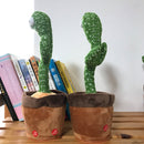 Dancing Cactus Toy 