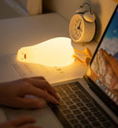 Rechargeable Kwaklamp