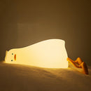 Rechargeable Kwaklamp