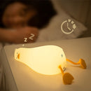 Rechargeable Kwaklamp