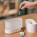 Burning Flame Humidifier 