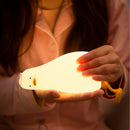 Rechargeable Kwaklamp