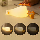Rechargeable Kwaklamp