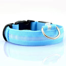 Glowing Dog Leash 