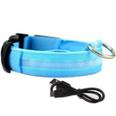 Glowing Dog Leash 