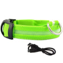Glowing Dog Leash 