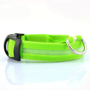 Glowing Dog Leash 