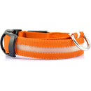 Glowing Dog Leash 