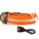 Glowing Dog Leash 