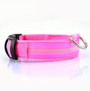 Glowing Dog Leash 