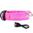 Glowing Dog Leash 