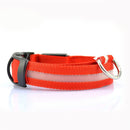 Glowing Dog Leash 