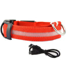 Glowing Dog Leash 