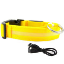 Glowing Dog Leash 