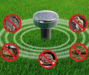 Solar-powered mole repeller