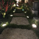 Solar powered LED disc lights