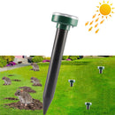 Solar-powered mole repeller