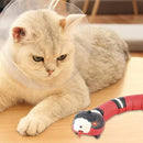 Snake Cat Toy