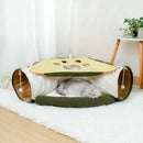 Cat Cav