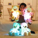 Leddy the teddy