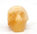 Natural Skull Crystal Stone 